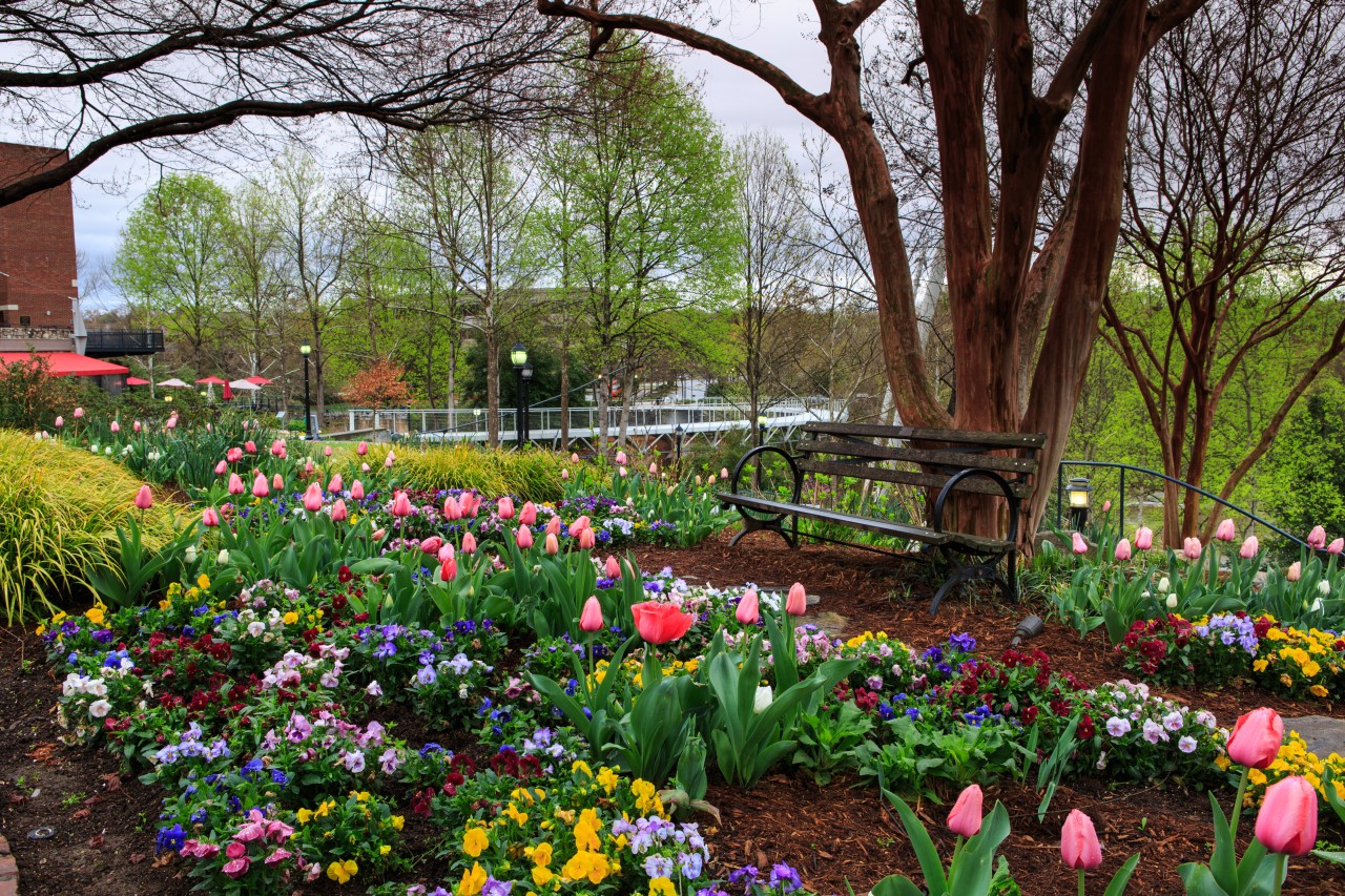 Cheekwood Estate & Gardens